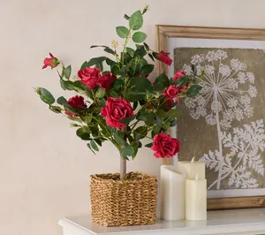 Wicker Park 27" Indoor/Outdoor Faux Rose Bush with Pot