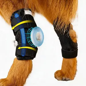 Dog Hock Support Brace for All Legs - Pain Relief, Inflammation Reduction, Secure Stabilization for Active Dogs