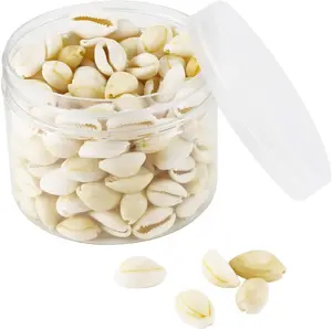 Natural White Cowrie Shells- 16-18mm No Holes Whole Seashells