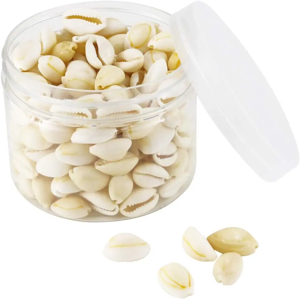 Natural White Cowrie Shells- 16-18mm No Holes Whole Seashells