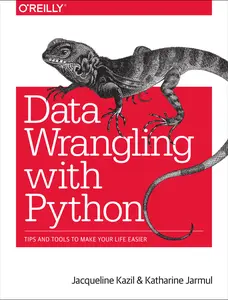 USED-Data Wrangling with Python: Tips and Tools to Make Your Life Easier by Kazil, Jacqueline (Paperback)