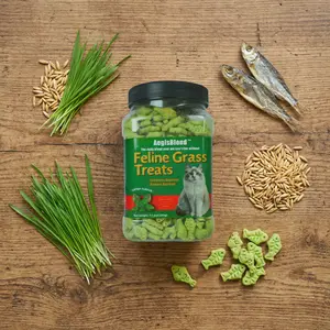 AegisBlend Best Cat Grass Treats, Natural Crunchy Catnip Biscuits for Hairball Control, Supports Digestive Health & Dental Cleaning, Vitamin Enriched, Ideal for All Cats