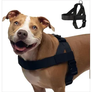 Dog Friendly Co. Harness - Easy to Fit No-Pull Design - Safe Secure and Comfortable - Ideal for All Dogs- Adjustable Straps for Perfect Fit - Chafe-Resistant Lightweight Straps
