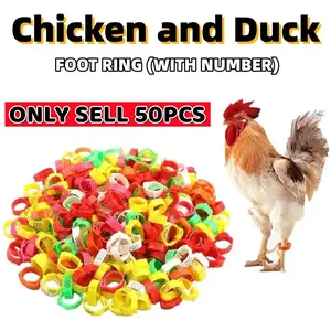 50-Piece Poultry Leg Rings, Adjustable Multi-Color Numbered Tags, Durable Plastic Foot Cuffs for Chickens Ducks Geese Turkeys