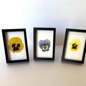 Mini framed pressed flowers. Set of three 2”x3” frames. Real flowers. Magnetic and desktop