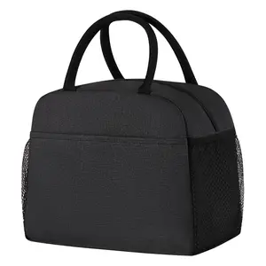 MEXS Insulated Lunch Bag for Women, 9.5L Reusable Lunch Tote with Handle, Waterproof Leakproof Lunch Box for Work Picnic Travel