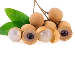 Longan Tree, Longan Tree 2-3 Feet Tall In 3 Gal, Air Layered Tree, Sweet Longan Live Plant For Planting, Longan Live Tree, Tropical Fruit Tree