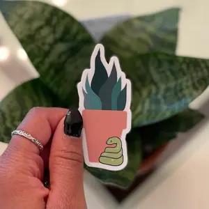Green Tree Python Snake & Sansevieria Snake Plant sticker