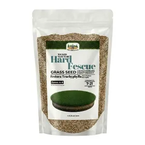 Old Cobblers Farm Wicked Tuff Turf Hard Fescue (Grasses) (5 lbs | 10 lbs | 15 lbs | 20 lbs)