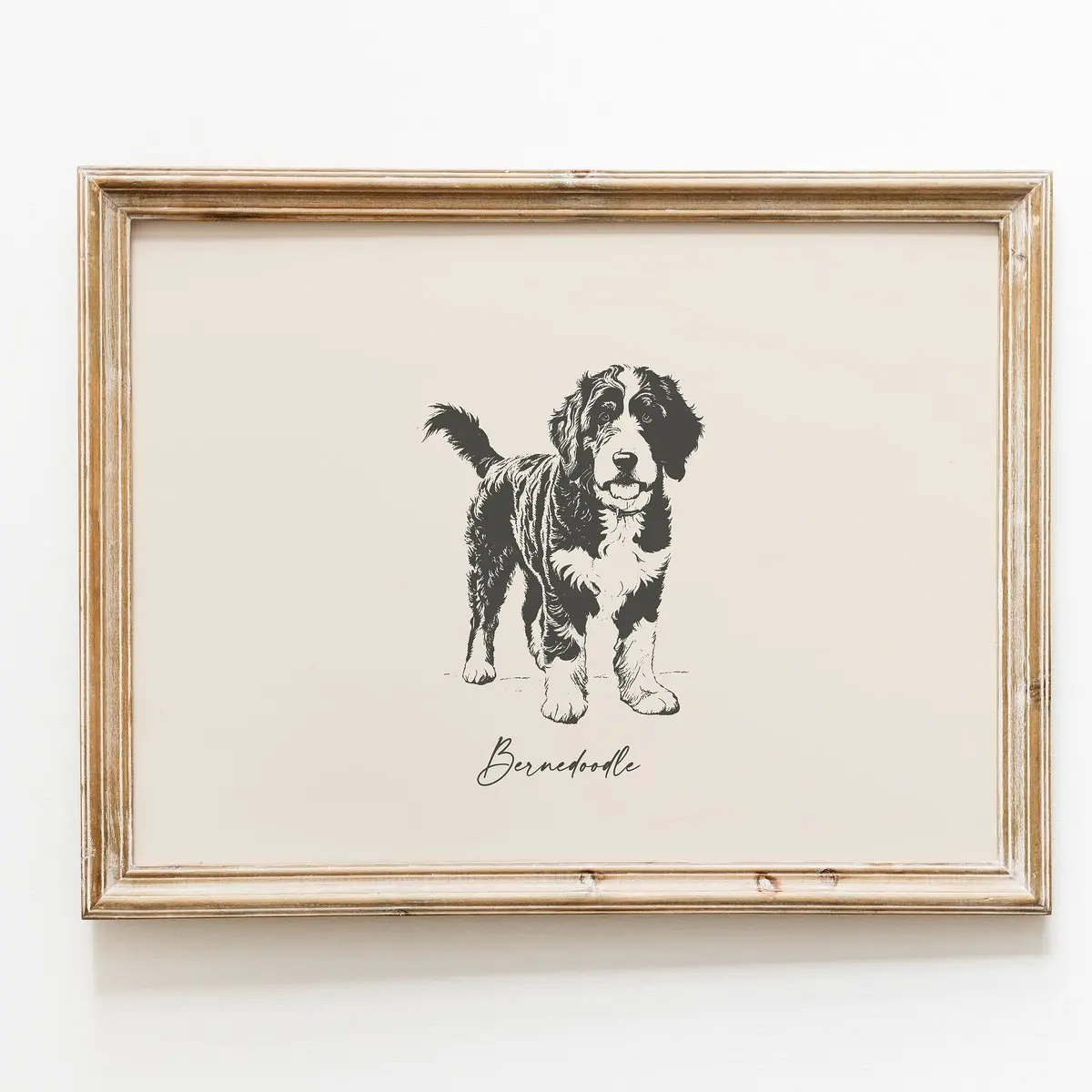 Bernedoodle Dog Vintage Print, Countryside Wall Art, Farmhouse Print, Room Decor, Unframed 5 size, 8x12 to 27x40 inch