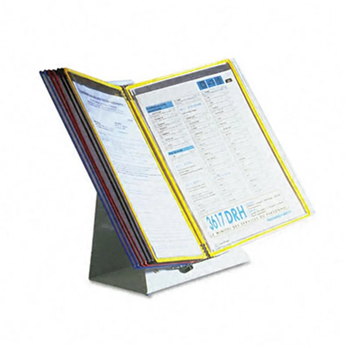 Tarifold Inc. Office Desktop Reference Starter Set - 10 Assorted Pockets, Expandable to 30 Pockets, Includes Index Tabs for Frequently Referenced Paper Documents