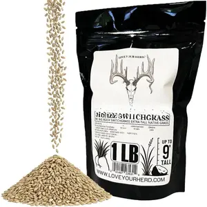 BigAzz Switchgrass Seed, Bulk RC Big Rock Variety, Extra Tall Drought-Tolerant  Perennial Grass for  Habitat, Bedding Areas, Green Screens &  Plots (1 Pound)