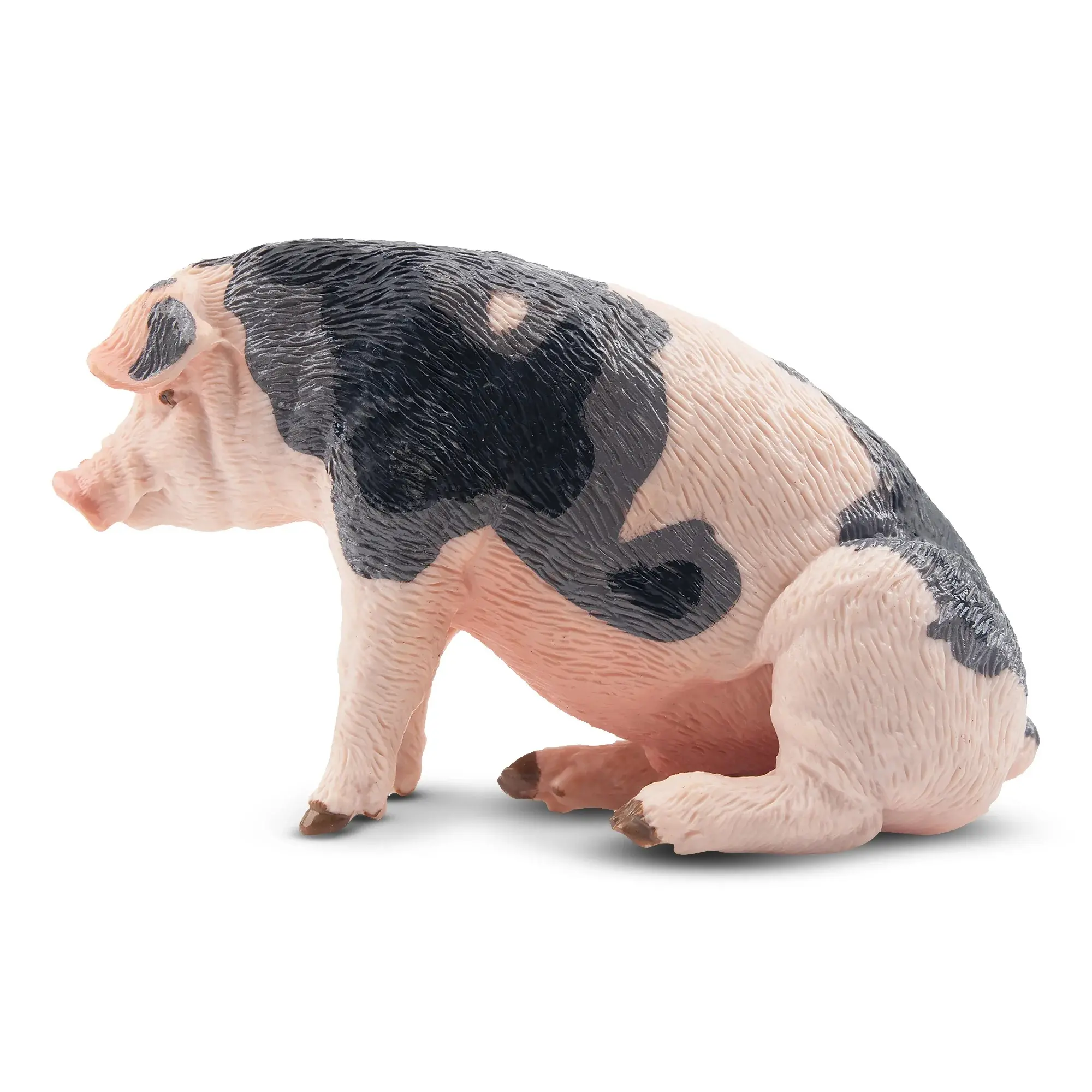 Toymany Hand-Painted Plastic Daddy Pietrain Pig Figurine - Realistic Animal Model, Early Education Tool, Montessori Sensory Play Toy, Collectible Gift for Enthusiasts