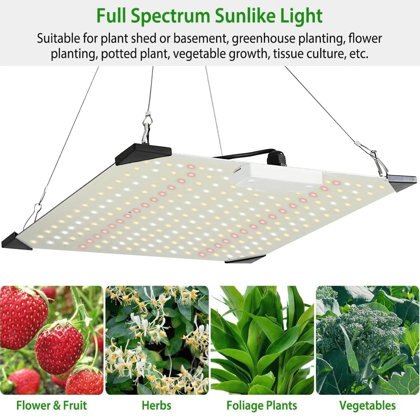 1000W Growing LED Grow Light, Full Spectrum, Ideal for Indoor Plants’ All Growth Stages From Seedling to Bloom