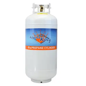 Flame King 2 Pack 40lb Empty Propane Tanks LP Cylinders with OPD