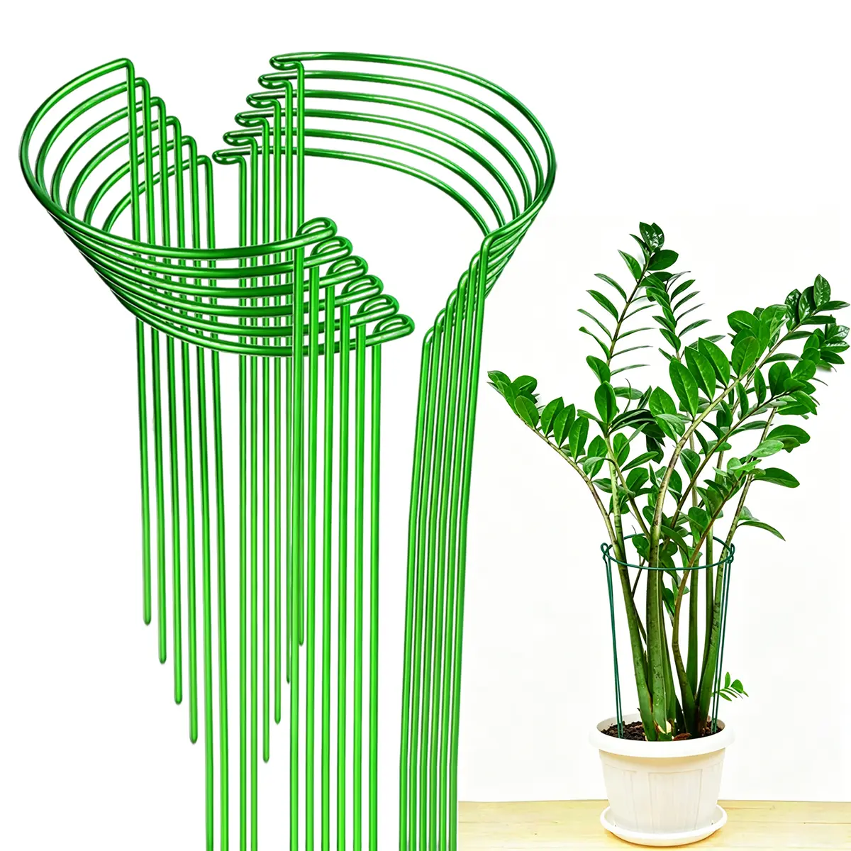 Sturdy Support Metal Plant Support Cages (Bulk Pack of 10, 10in Wide x 15.8in High) - Metal Frame Anti-Collapse Garden Flower, Vegetable & Indoor Potted Plant Holders, 10X15.8"