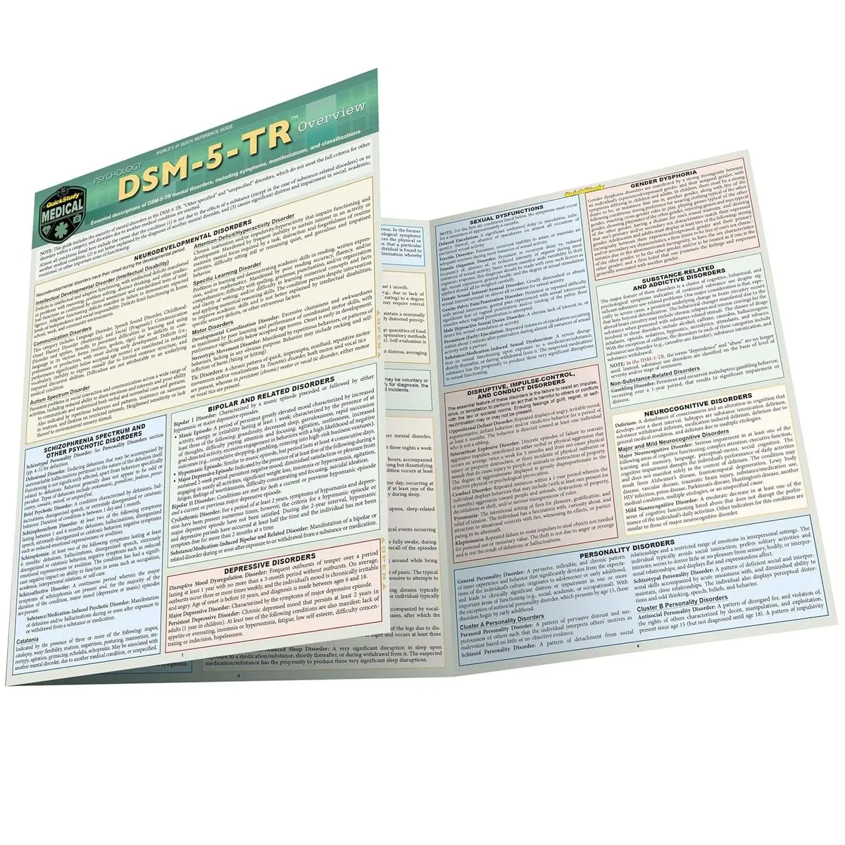 DSM-5-TR Overview: a QuickStudy Laminated Reference Guide Pamphlet – November 1, 2022