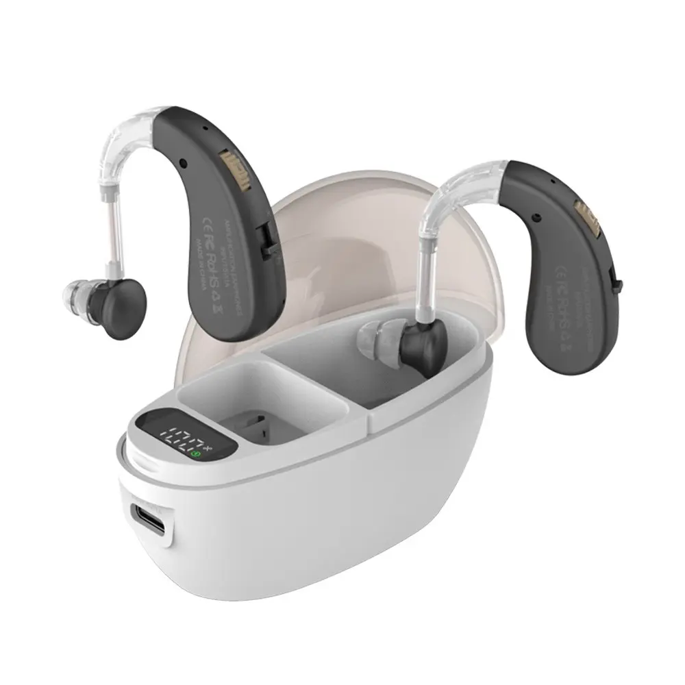 Personal Voice Amplifier Set, 2pcs Earphones + 1pcs Charging Case, Chargeable, Dual-Ear Hanging Speaker, Suitable for Any Scenario Audio