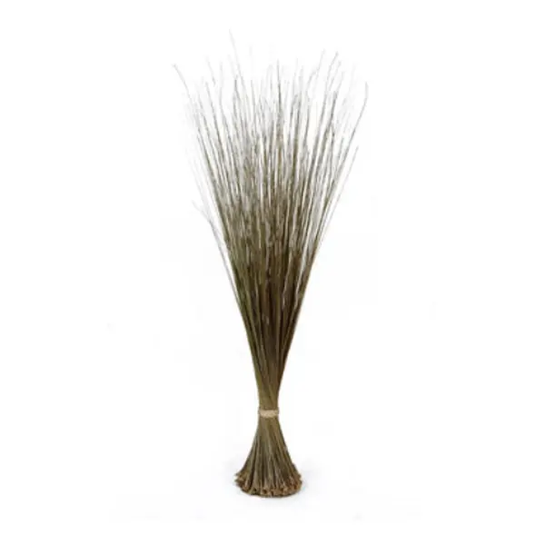 African Broom ( Igbale )