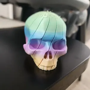 Rainbow Fidget Skull
