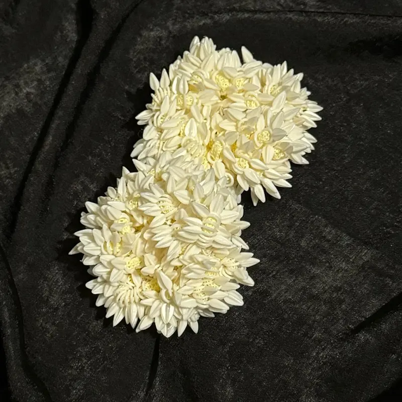 4 Jasmine gajry