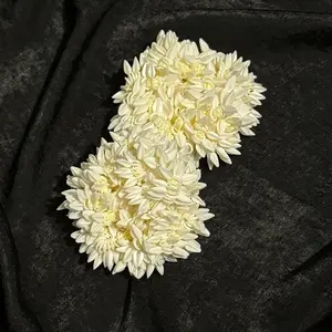 4 Jasmine gajry