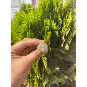 Santa muerte mens ring no green skin (holy death)