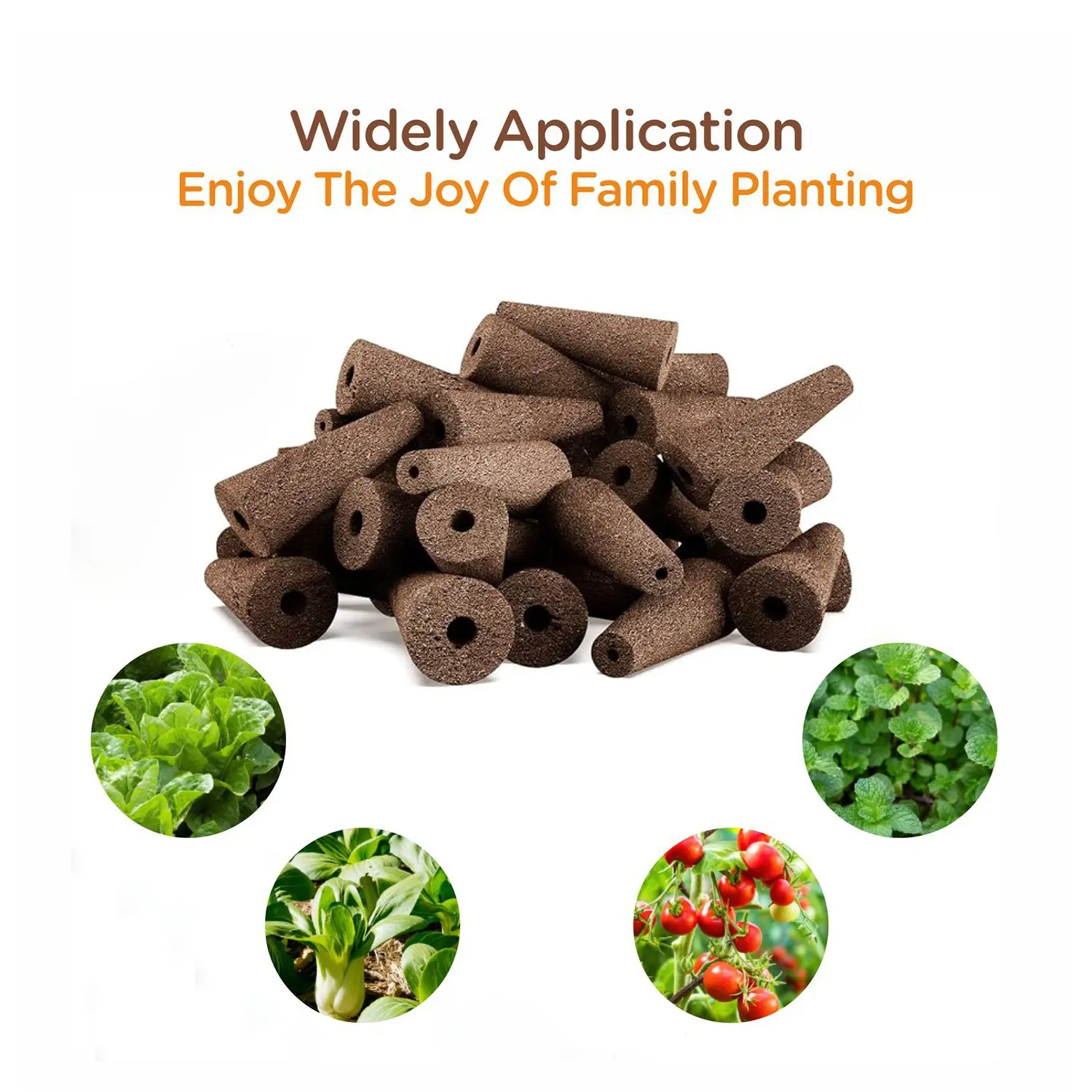 50PCS Rapid Rooter Plugs Hydroponics Growing System High Germination Starter Sponges Hydroponic Grow Sponges Kit for Vegetables, Herbs & Flowers