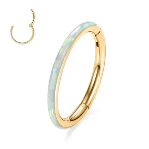 AROWRO Nose Rings Hoops with Opal Hinged Nose Rings for Women Surgical Steel Septum Rings 16G 18G 20G Conch Helix Daith Piercing Jewelry Diameter 6mm-12mm