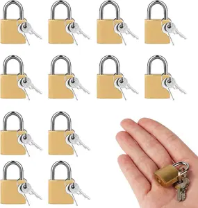 12-Pack 20mm Antique Brass D-Shaped Keyed Padlocks, Hardware with Hardened Alloy Core, Reinforcement Lock for Luggage, Gym Lockers