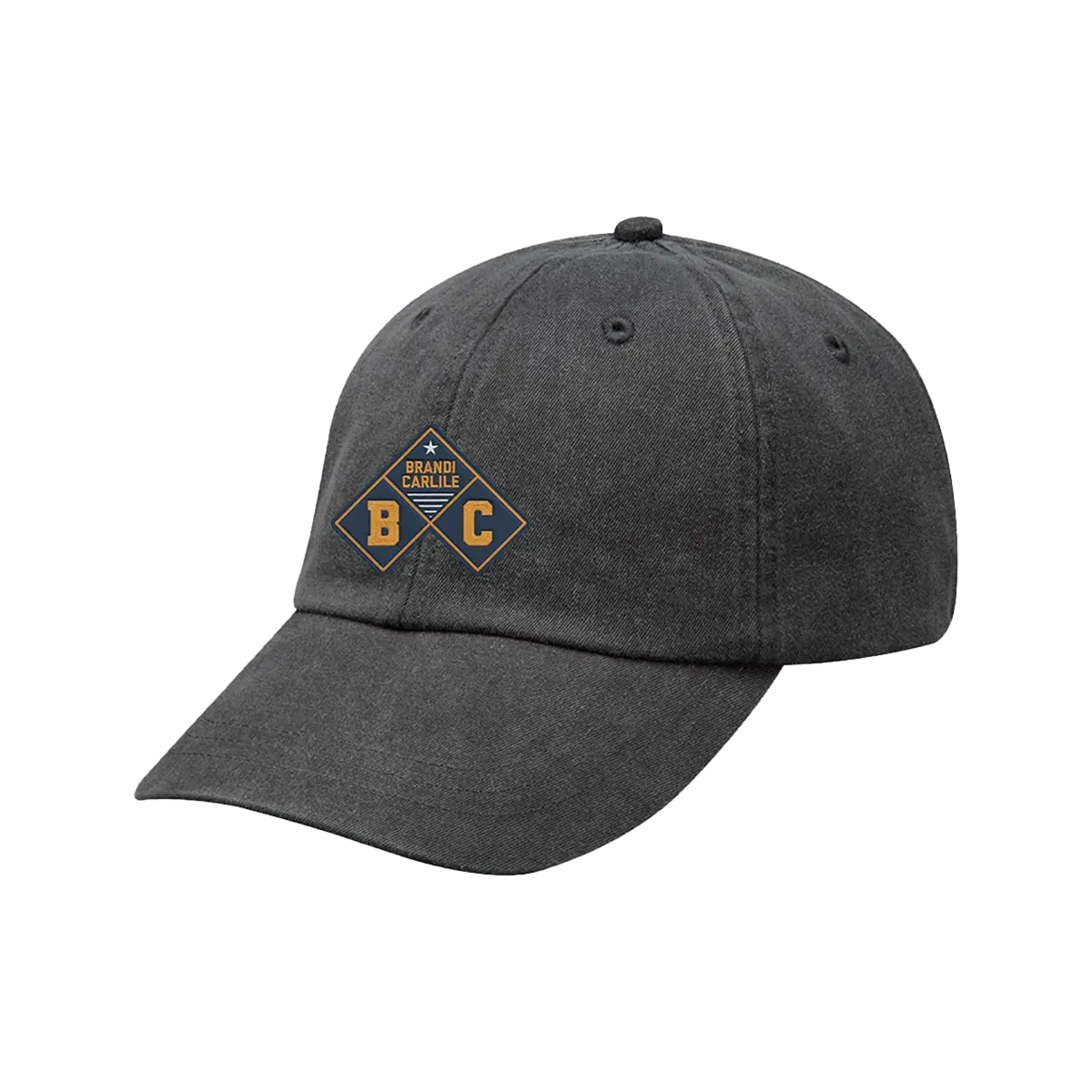 The Human Tour Logo Hat