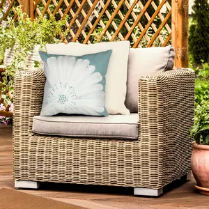 Lush Decor VISIONS III Indoor/Outdoor Handmade Pillow - Traditional Graphic Botanical Floral Accent  (Antique Medallion)