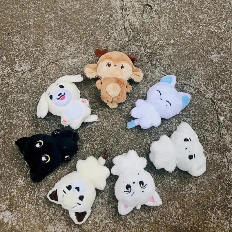 Kpop Cute Jungwon, Heeseung, Jay, Jake Stuffed Toy Keyrings - Kawaii Cartoon Pendant Accessories for Everyday Bag Decoration, Fans' Home Decor Gift