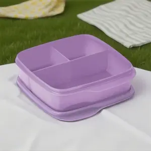 Lunch Container