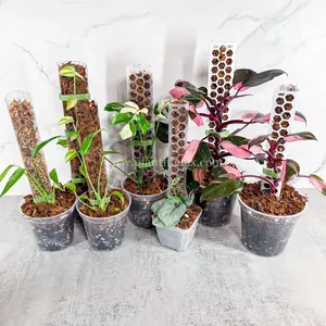 *New Style & Colors* Moss Poles (Clear, Frosted Clear & White) - 2pc or 4pc -Extendable and Size Adjustable | PlantLifeLex