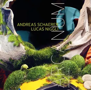 Lucas Niggli - Arcanum  [COMPACT DISC - CD]