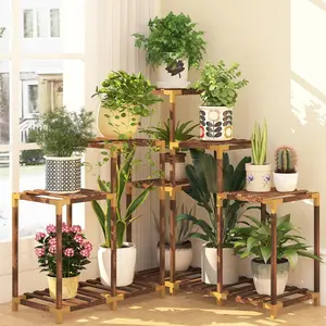 Plant Stand Indoor Outdoor, 11 Tier Corner Shelf Wood Rack Organizer Display for Multiple Plants Large Ladder Holder Flower Stand for Living Room Patio Porch Gift Fitting
