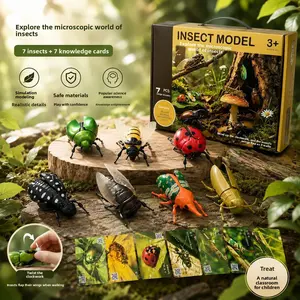 Realistic Wind Up Bug Toys for Kids 7PCS Set with Educational Fact Cards STEM Crawling Insects Science Learning Toy Gift for Boys Girls