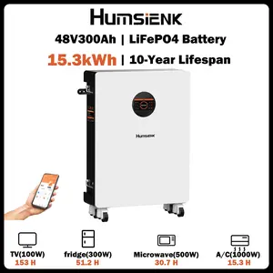 【Truck Delivery】Humsienk 48V 300Ah Wall-Mounted Bluetooth LiFePO4 Battery 15.36kWh Smart BMS High Cost Performance Home Backup Power Spring Preparedness Disaster Ready Off-Grid Living Reduce Equipment Downtime Uninterrupted Power Supply