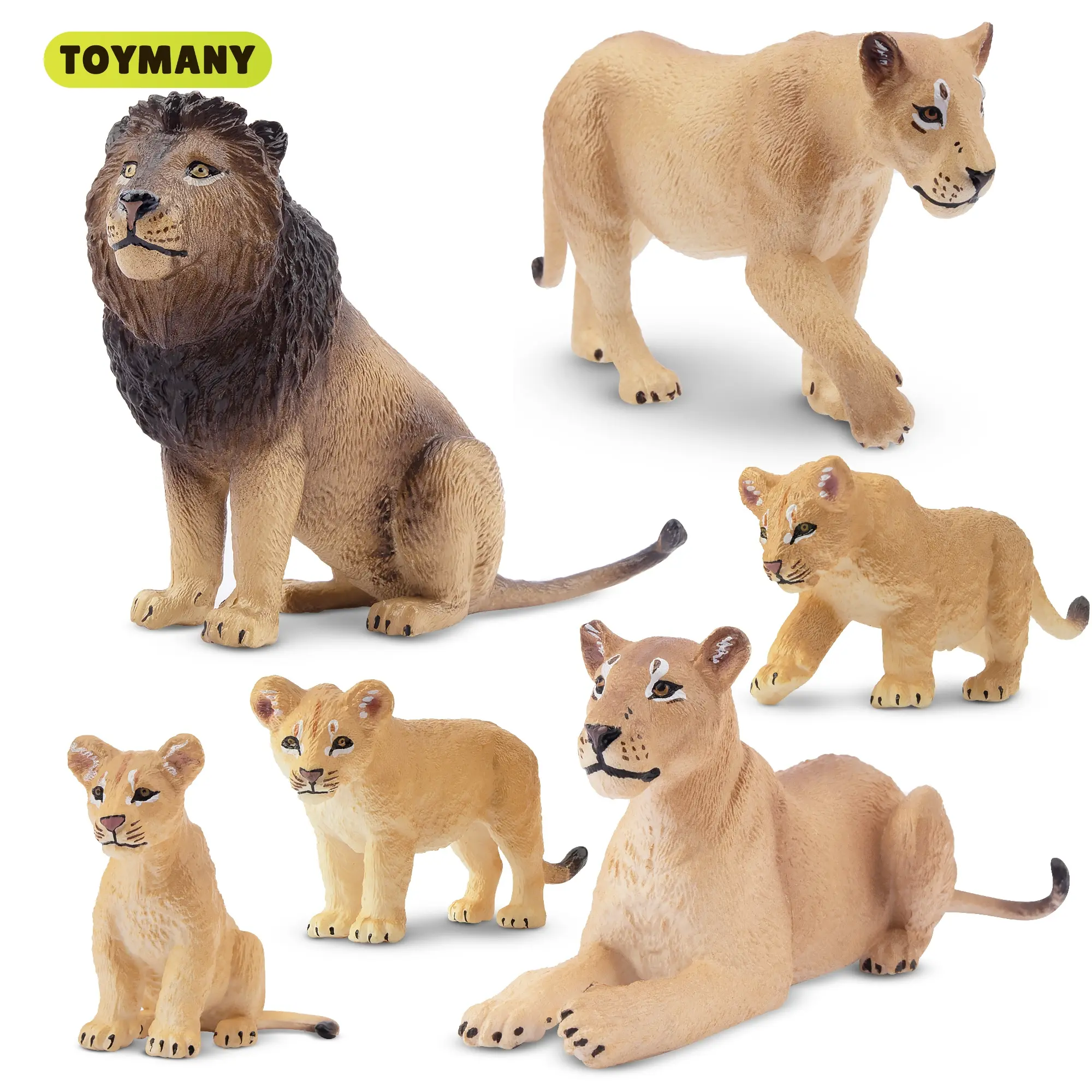 TOYMANY 6PCS PVC Plastic Realistic Lion Figurines Set - Unisex 0.8-2in Collectible Animals (2 Lionesses, Cubs), Age 3+ Learning Educational Toys, Cake Toppers, Kids' Gift Ideas, Gift Ideas For Kids