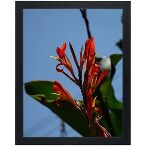 11x14 Picture Frame, Wooden Wall Art Frame for Photos, Puzzle Frame, Poster Frame Wall Mounting, Display Pictures 11x14 without Mat, Black