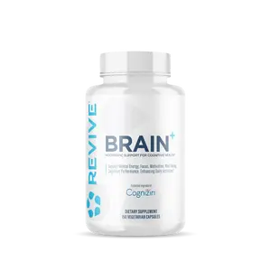 Brain+