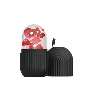 Ice Face Roller, 1 Count Reusable Silicone Ice Face Cube Massager, Facial Beauty Roller Skincare Tool for Facial Care, Facial Cleansing Instrument