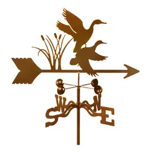 EZ Vane  Ducks Bird Weathervane with Roof Mount