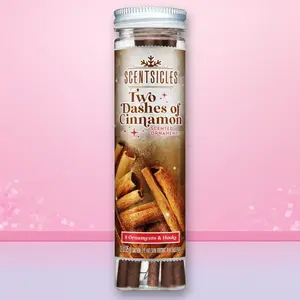 ScentSicles 6pk Cinnamon Scented Ornaments