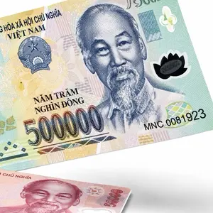 Vietnamese dong series Themed Stickers. The Ultimate Rectangle Sticker for Anywhere & Anything | Waterproof Vinyl | Clean Minimal Tech Aesthetic | Perfect for Laptops, Phones & Everyday Use