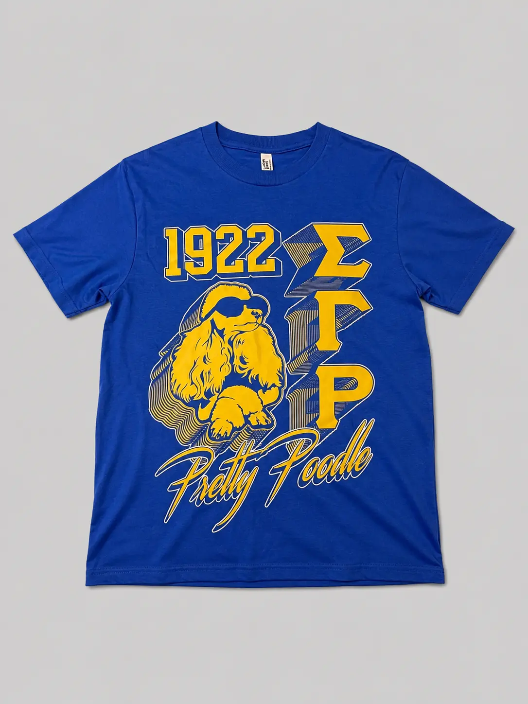 Sigma Gamma Rho Vintage Shirt