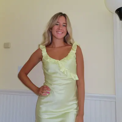 knee length dresses for ladies Analeigh Mini Dress