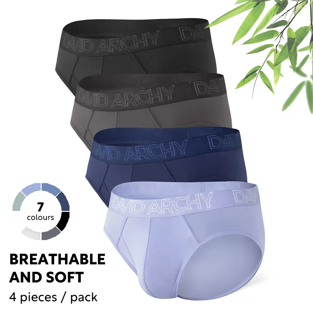 David Archy Men's Underwear Bamboo Rayon Briefs Super Soft Comfort Pouch Briefs 4Pack Basic Menswear Lightweight Breathable Big Spandex Boxers Fabric, Sexy, Solid Brief