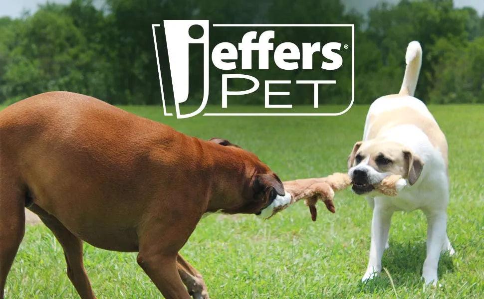 Jeffers Thinnies Unstuffed Plush Dog Toys, 21"L